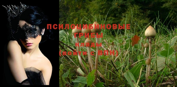 винт Белоозёрский