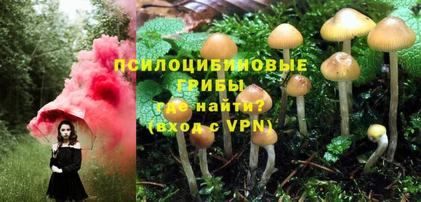 альфа пвп Беломорск