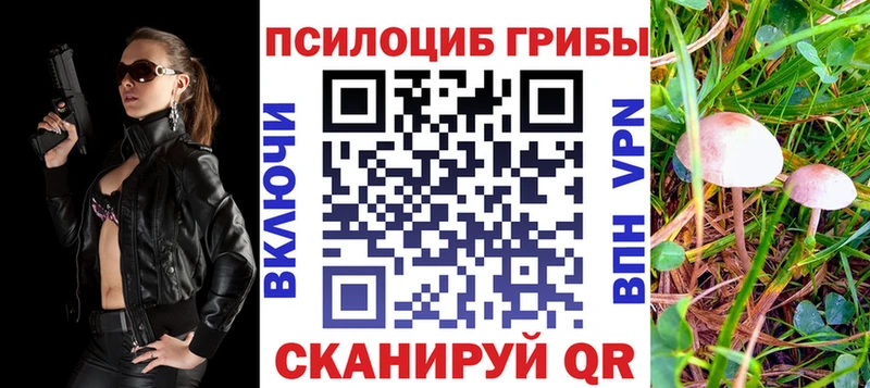 Псилоцибиновые грибы мицелий Стерлитамак